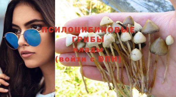 соль ск Медвежьегорск