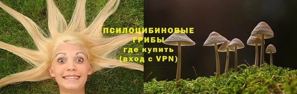соль ск Медвежьегорск