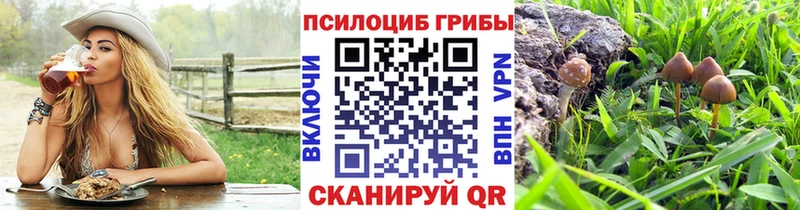 где можно купить наркотик  Нюрба  Галлюциногенные грибы прущие грибы 